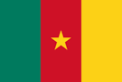 bandiera del CAMERUN